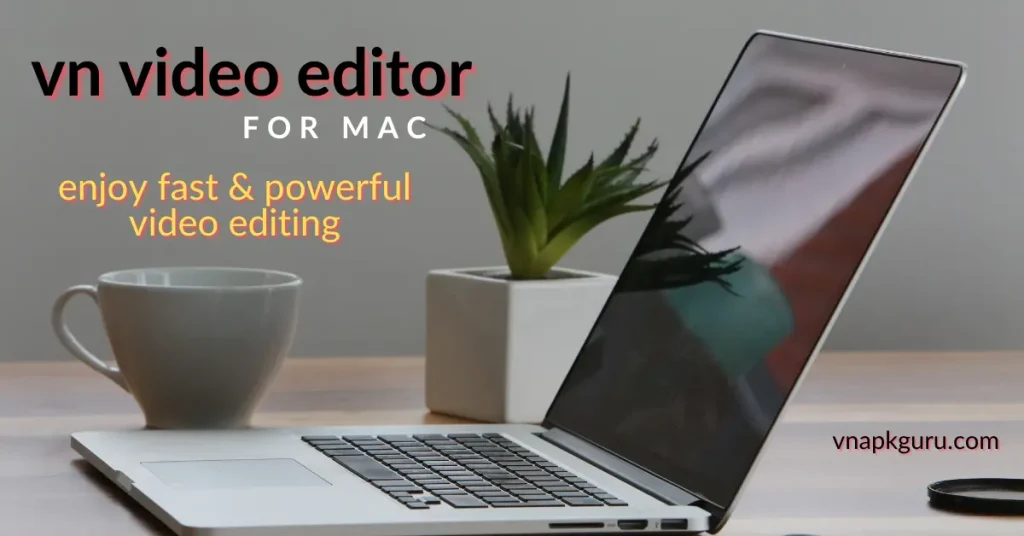 the latest VN Video Editor for Mac - Pro Editor version.